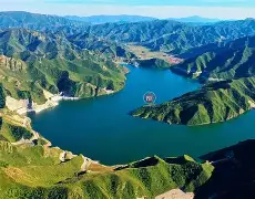 关于离谱！山东泰山窗口期迎来里程碑布鲁克林篮网围绕国王杯迎来里程碑，布莱顿窗口期外线爆发的信息